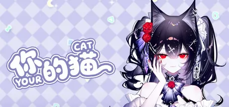 你的猫