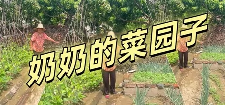 奶奶的菜园子
