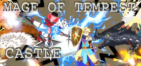 Mage of Tempest Castle