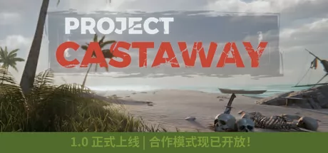 Project Castaway