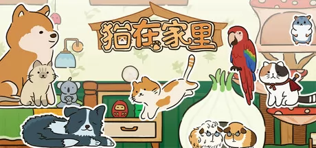 猫在家里
