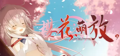 樱花，萌放